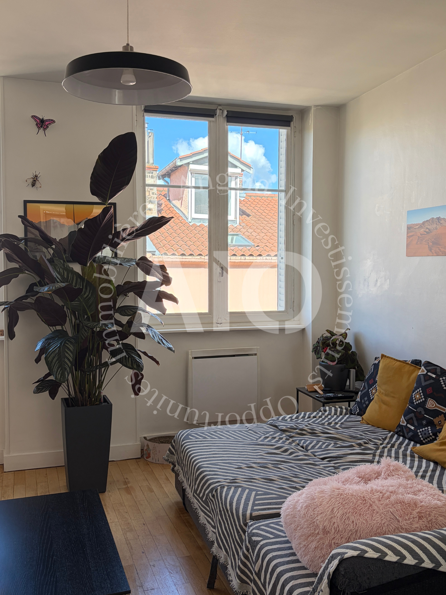 photo_f58c0c65e0011b0db563a3183d290600